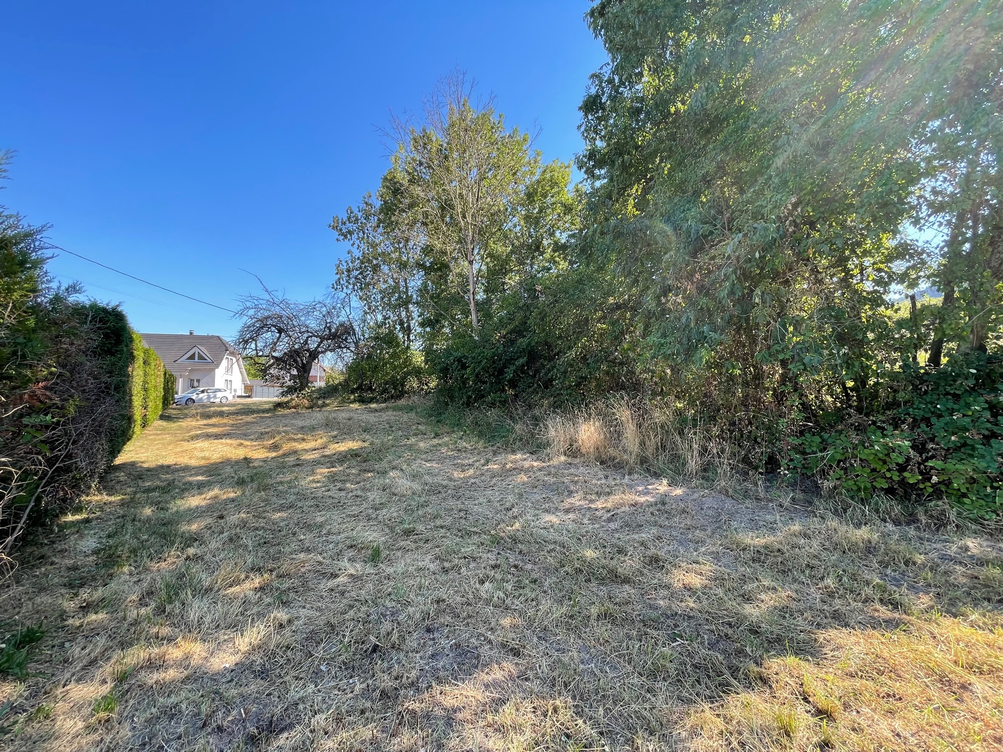 Terrain 1913 m² · à Reinhardsmunster · 50 000 €